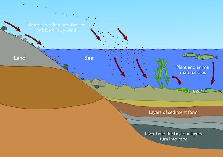 Infographic showing materials washing into the ocean and becoming compressed at depth.